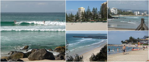 Blue Pelican Motor Inn - Hotel NSW 3