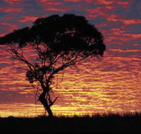 Kimba Caravan Park amp Motel - Hotel NSW