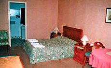 The Ravensworth Motel - Hotel NSW 0