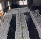 Echidna Gully Paintball and Lazerblits - Hotel NSW