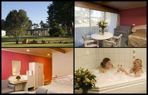  William Macintosh Motor Lodge - Hotel NSW 1