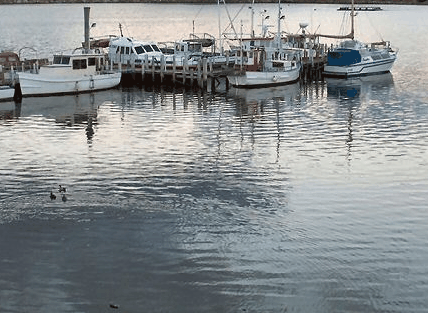 Hobart Apartments - Hotel NSW 1