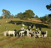 St Columba Cottage - Hotel NSW