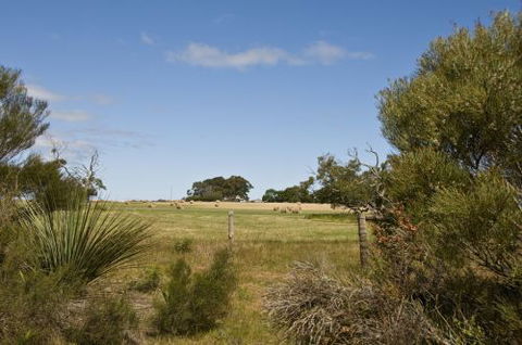 Ficifolia Lodge - Hotel NSW 4