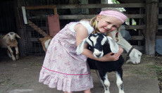 Minimbah NSW Hotel NSW