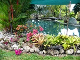 Daintree Wild Bed And Breakfast - Hotel NSW 0