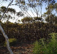 Lions Dryandra Woodlands Village - Hotel NSW