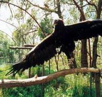 Curlew Hill Sanctuary - Hotel NSW