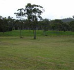 Mt White Lodge - Hotel NSW