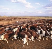 Bond Springs Outback Retreat - Hotel NSW