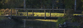 Lake Weyba Cottages Noosa - Hotel NSW 34