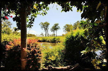 Lake Weyba Cottages Noosa - Hotel NSW 36