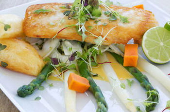 Caves Beachside Hotel - Hotel NSW 14
