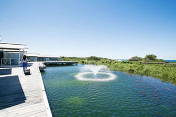 Caves Beachside Hotel - Hotel NSW 42