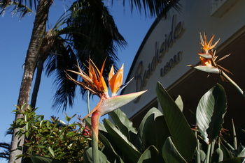 Beachside Resort - Kawana Waters - Hotel NSW 4