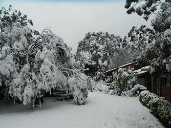 Crimson Villa - Hotel NSW 1