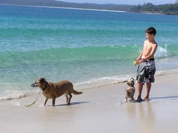 Paradise Bungalow - Hotel NSW 19