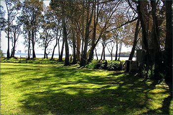 Paradise Bungalow - Hotel NSW 2
