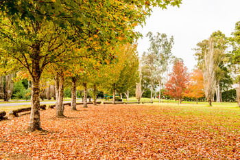 Retreat At Wisemans - Hotel NSW 12
