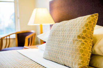 Retreat At Wisemans - Hotel NSW 13