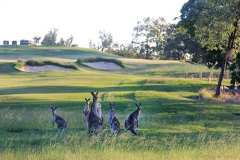 Riverside Oaks Golf Resort - Hotel NSW 1