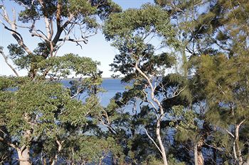 The Edgewater Bed & Breakfast - Hotel NSW 0