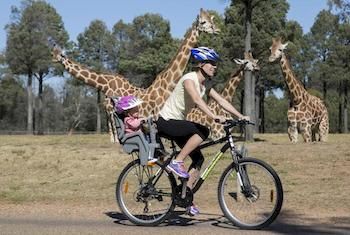 Zoofari Lodge, Taronga Western Plains Zoo - Hotel NSW 7