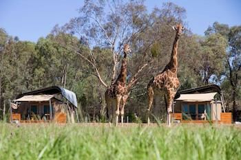 Zoofari Lodge, Taronga Western Plains Zoo - Hotel NSW 13