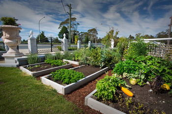 Katoomba Manor - Hotel NSW 23