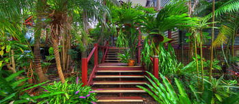 Maleny Tropical Retreat Balinese B&b - Hotel NSW 14