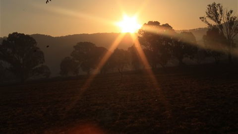 Gentle Annie Caravan And Camping Reserve - Hotel NSW 1