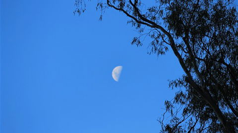Gentle Annie Caravan And Camping Reserve - Hotel NSW 4
