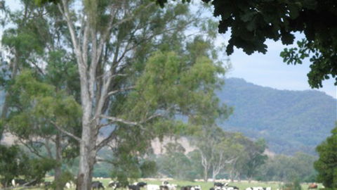 Gentle Annie Caravan And Camping Reserve - Hotel NSW 3