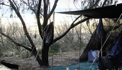 Main Beach Foreshore Camping Grounds - Hotel NSW 0