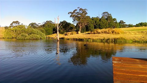 Cygnet Park Country Retreat - Hotel NSW 4