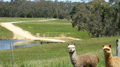 Cygnet Park Country Retreat - Hotel NSW 3