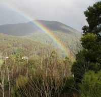 Wattletree Cottage - Hotel NSW