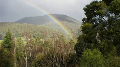 Wattletree Cottage - Hotel NSW 0