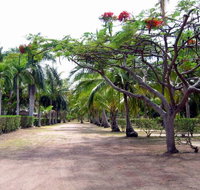 Alva Beach Tourist Park - Hotel NSW