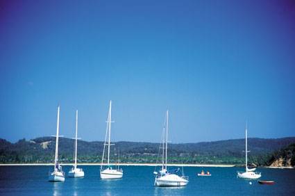 Boydtown Caravan & Camping Park - Hotel NSW 2