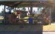 Canowindra Caravan Park - thumb 0