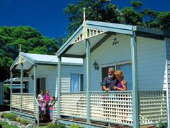 Paradise Palms Carey Bay - Hotel NSW 1