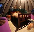 Aranyani Bison Adventure Tourist Park - Hotel NSW
