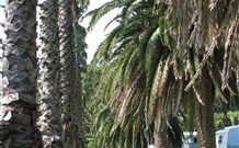 Barlings Beach Holiday Park - Hotel NSW 2