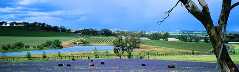 The Falls Retreat - Hotel NSW 8