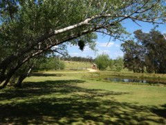 The Knoll Moruya - Hotel NSW 4