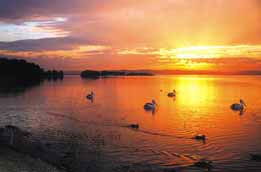 Two Shores Holiday Village - Hotel NSW 4