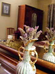Wallaby Ridge Retreat - Hotel NSW 4