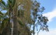 Pelican Park - thumb 2