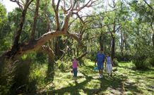 Port Stephens Treescape - Hotel NSW 4
